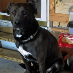 Meet your Posher, Gina